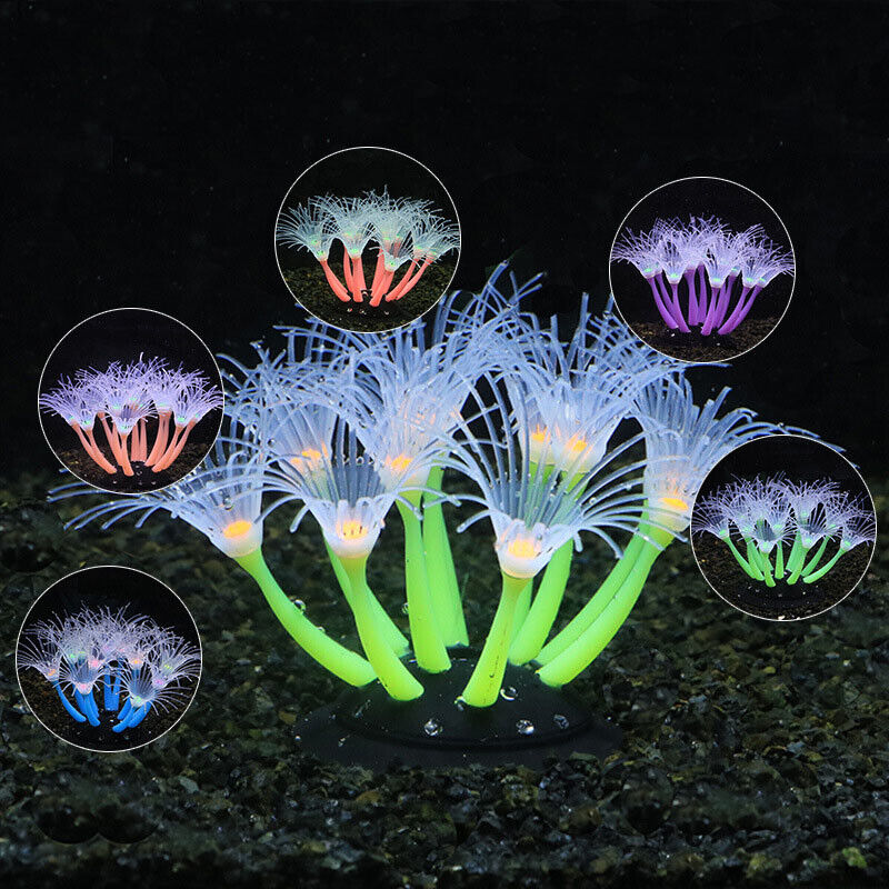 Silicone Glowing Landscape Art - Aquarium Plant Live ulasan dan harga