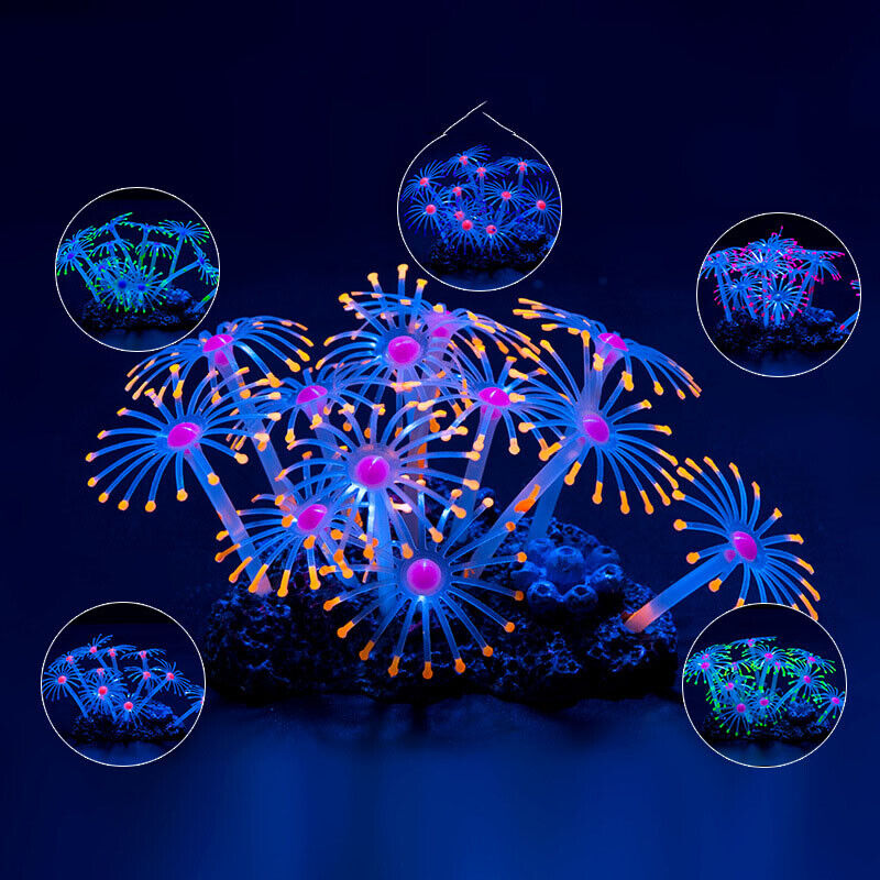 Silicone Glowing Landscape Art - Aquarium Plant Live ulasan dan harga