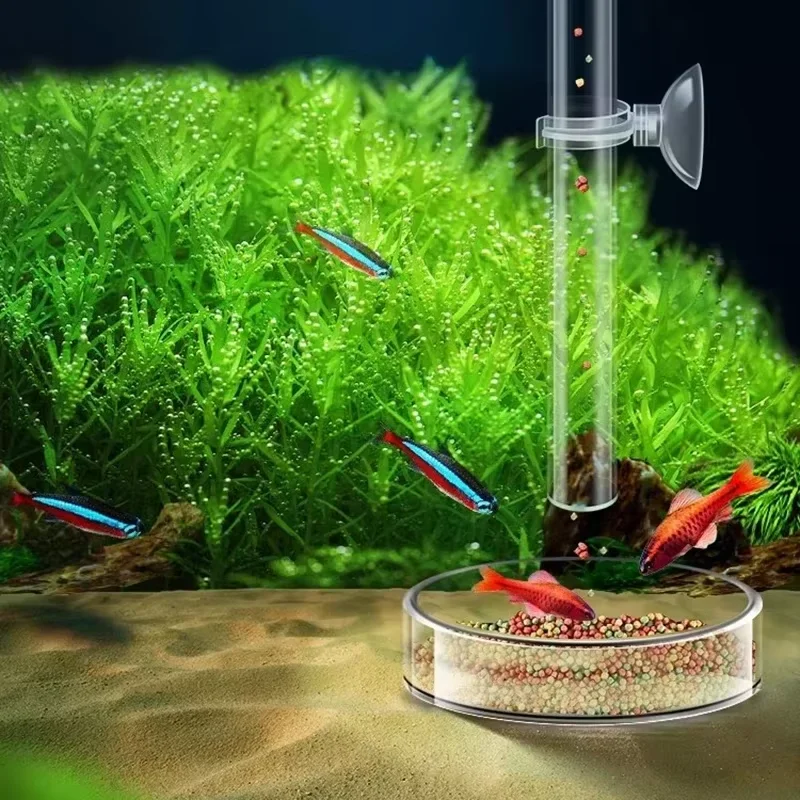 Aquarium Glass Feeding Tube &  - Aquarium Plant Red ulasan dan harga