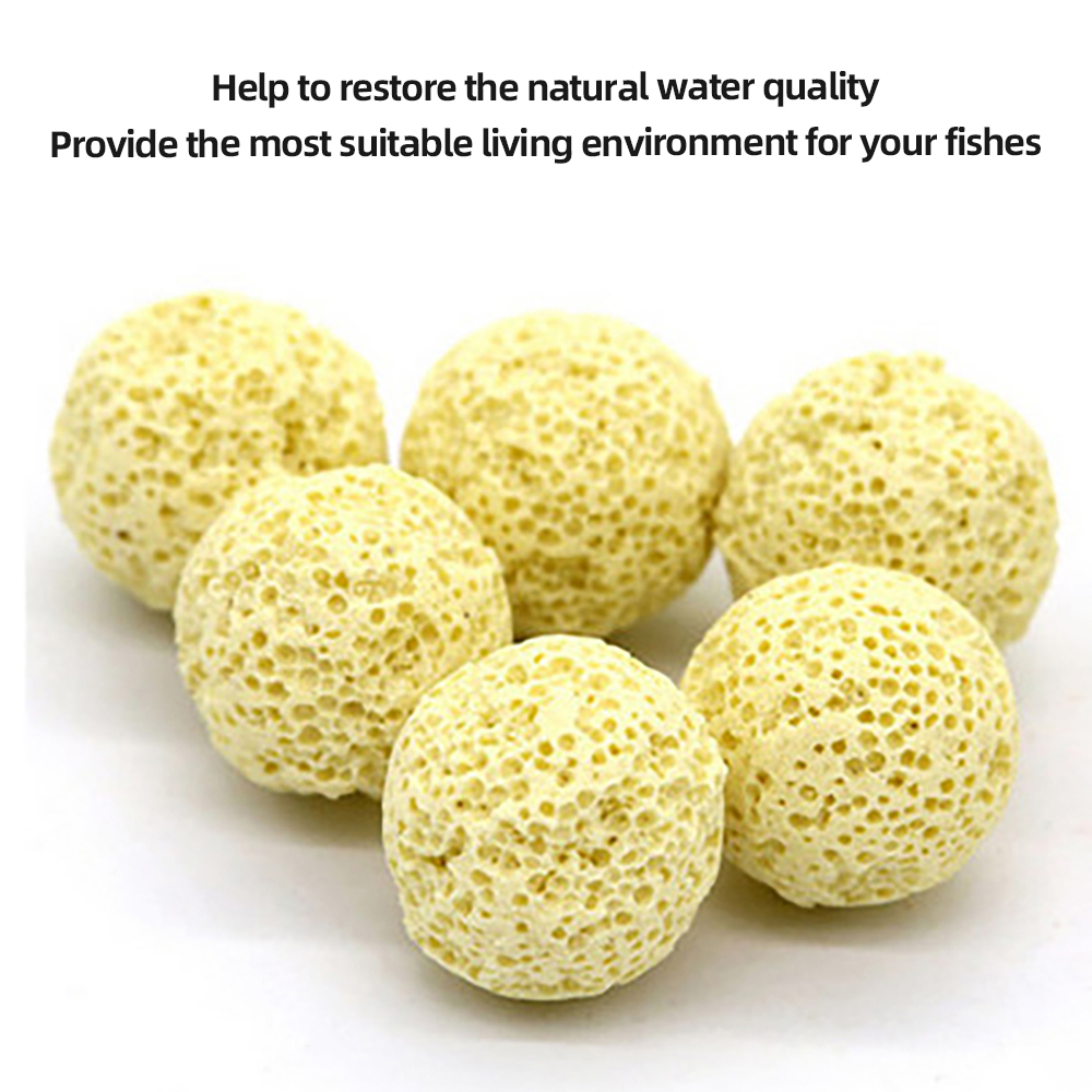 20/50/100 PCS Aquarium Filter  - Planted Aquarium Media ulasan dan harga