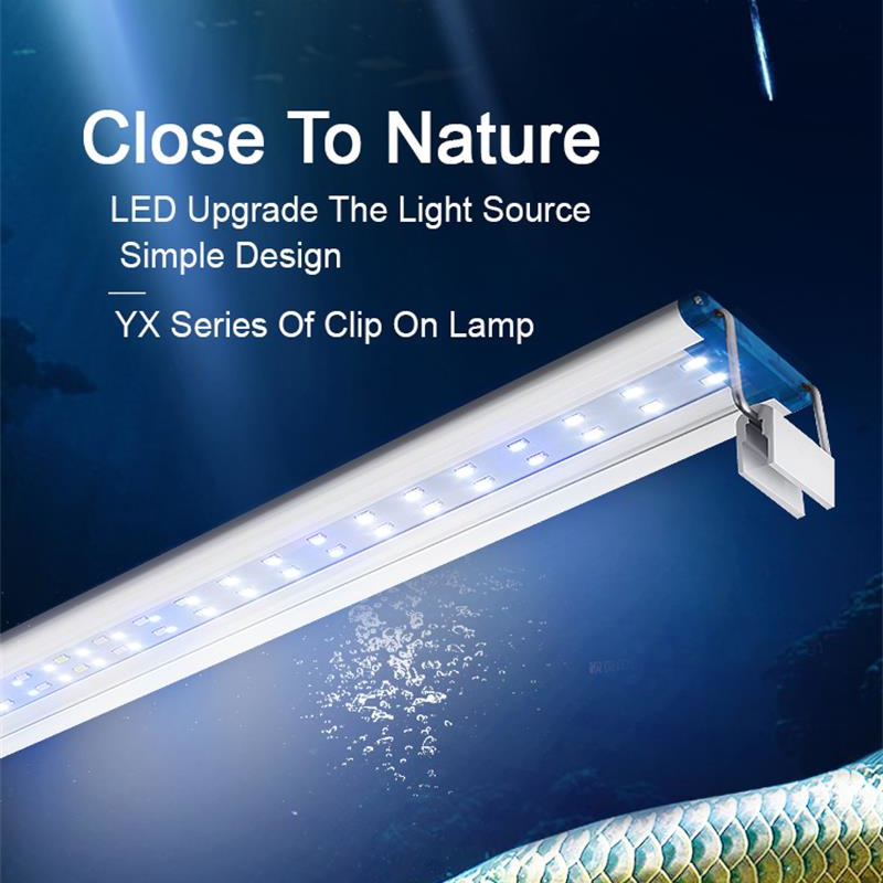 Extensible Waterproof Clip on  - Aquarium Plant Iron ulasan dan harga