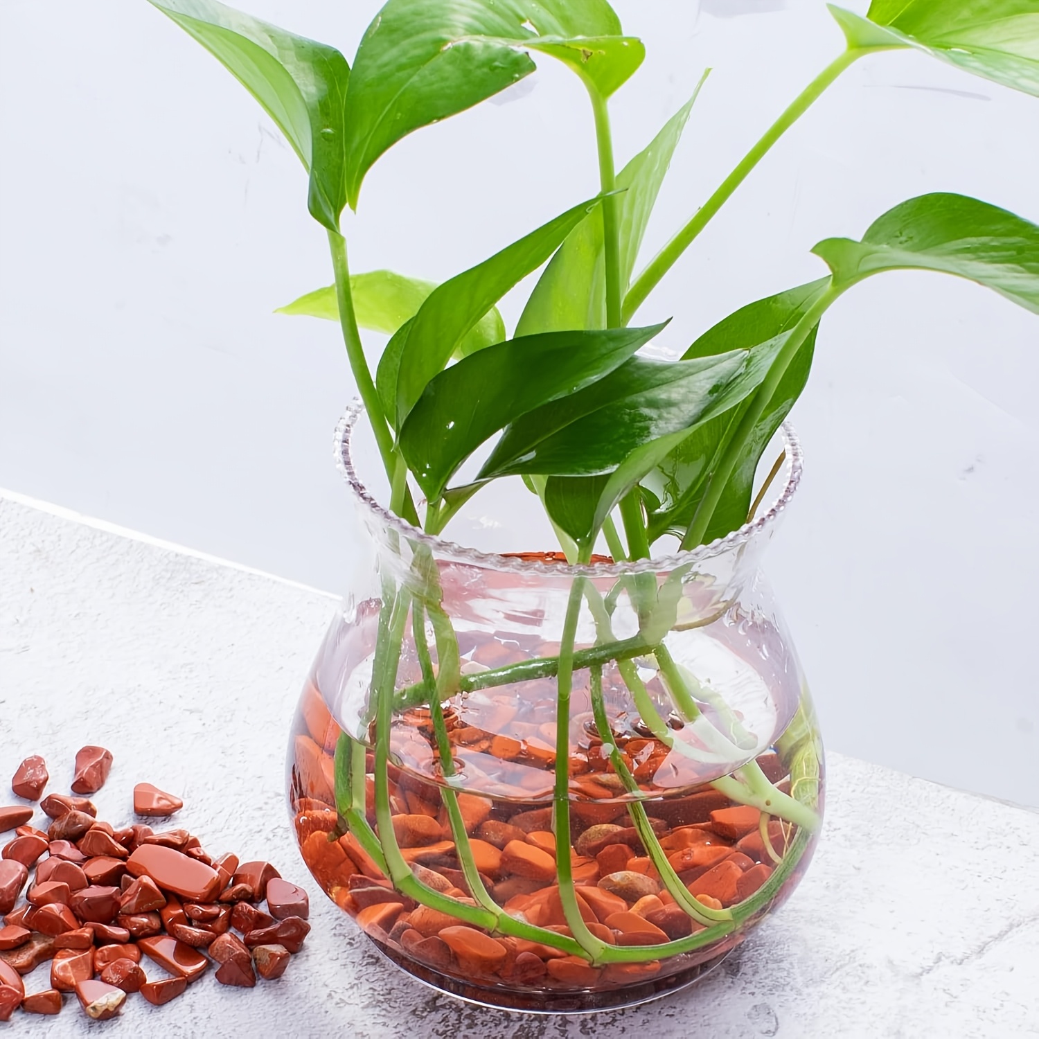 Red jasper tumbled stone -natu - Aquarium Plant Red ulasan dan harga