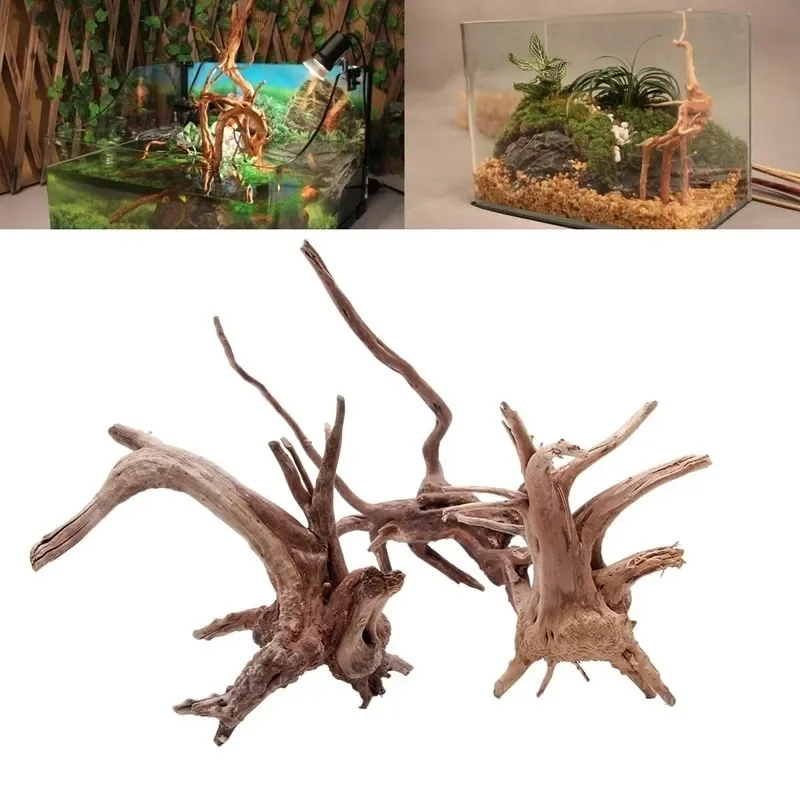 Natural Tree Trunk Driftwood A - Planted Aquarium Media ulasan dan harga