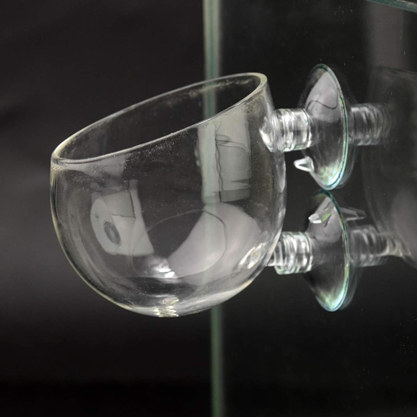 Aquarium Plant Holder Glass Aq - Aquarium Plant Growing ulasan dan harga