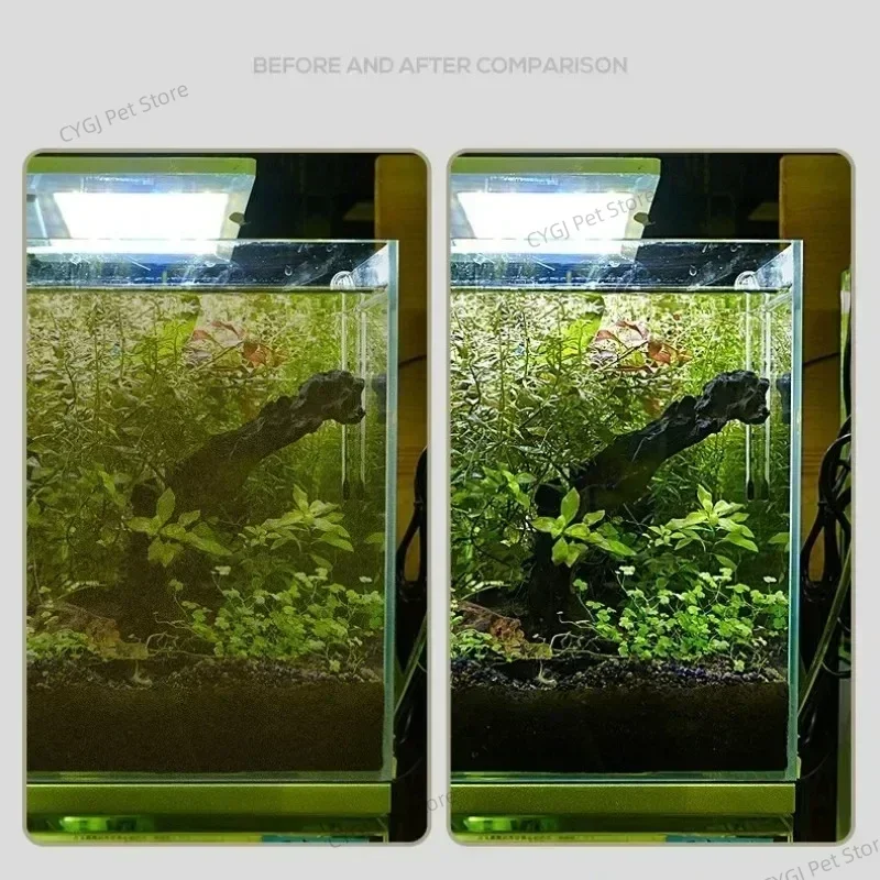 Fish Tank Cleaning Tool Flat S - Planted Aquarium Maintenance Kit ulasan dan harga