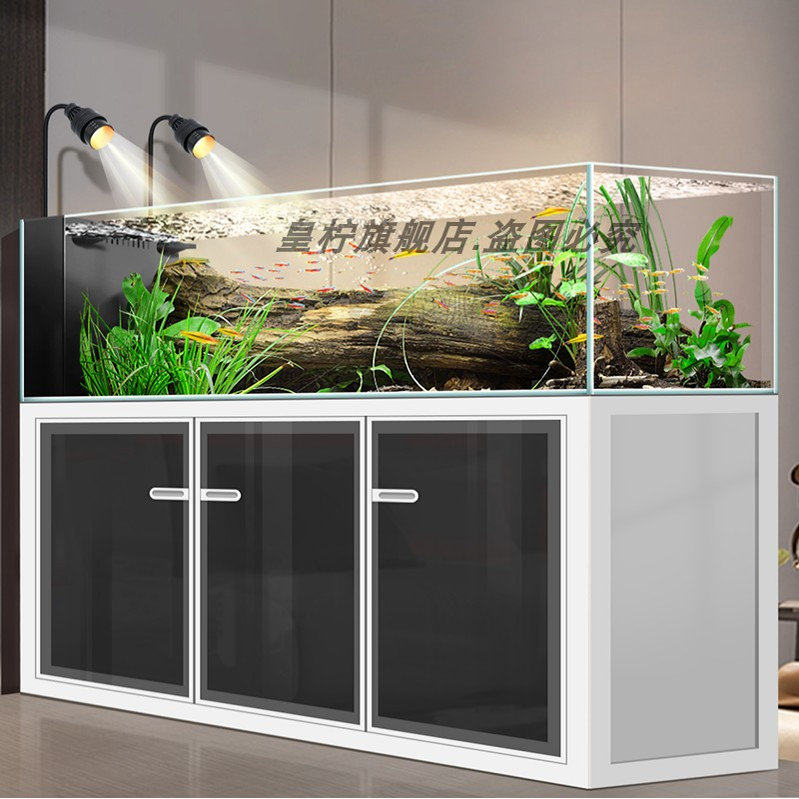 Yjq Industrial Wind Stream Tan - Aquarium Plant Echinodorus ulasan dan harga