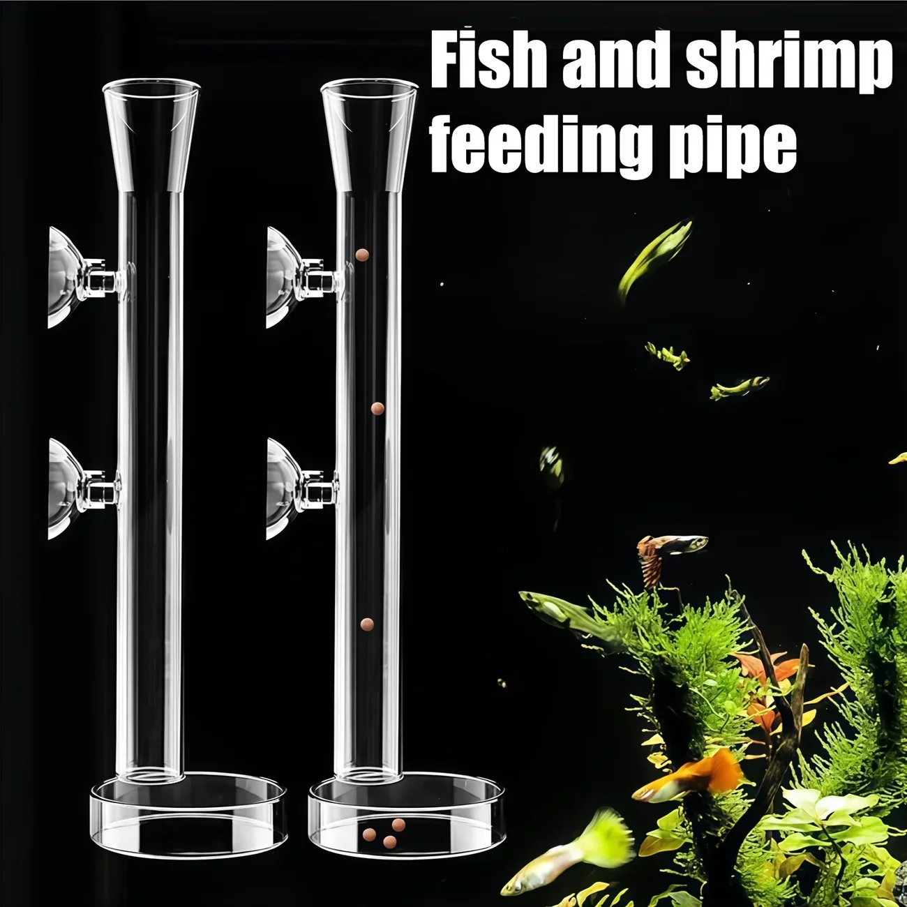 A Top Quality Aquarium Glass F - Aquarium Plant Red ulasan dan harga