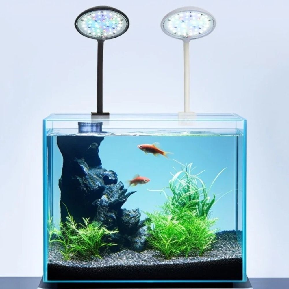 Mini Fish Tank Clip Lamp 360-D - Planted Aquarium Mini ulasan dan harga