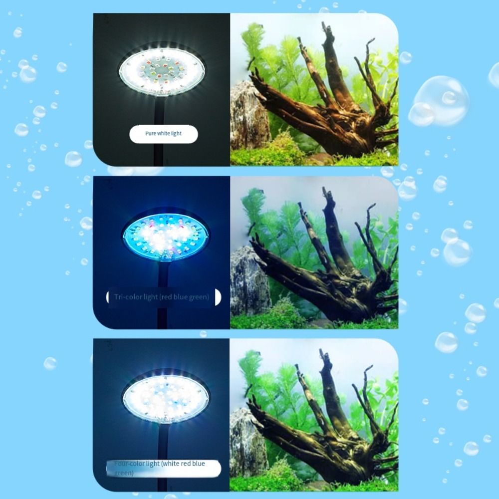 Mini Fish Tank Clip Lamp 360-D - Planted Aquarium Mini ulasan dan harga