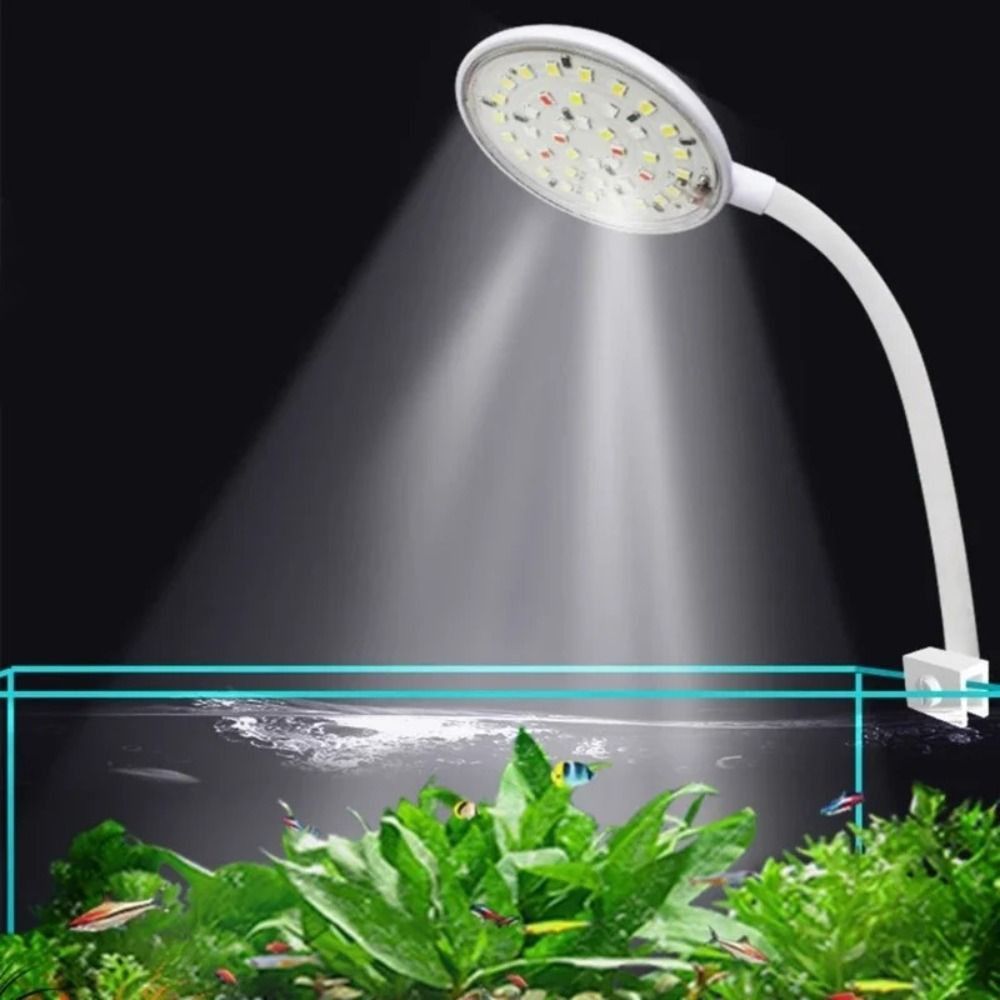 Mini Fish Tank Clip Lamp 360-D - Planted Aquarium Mini ulasan dan harga