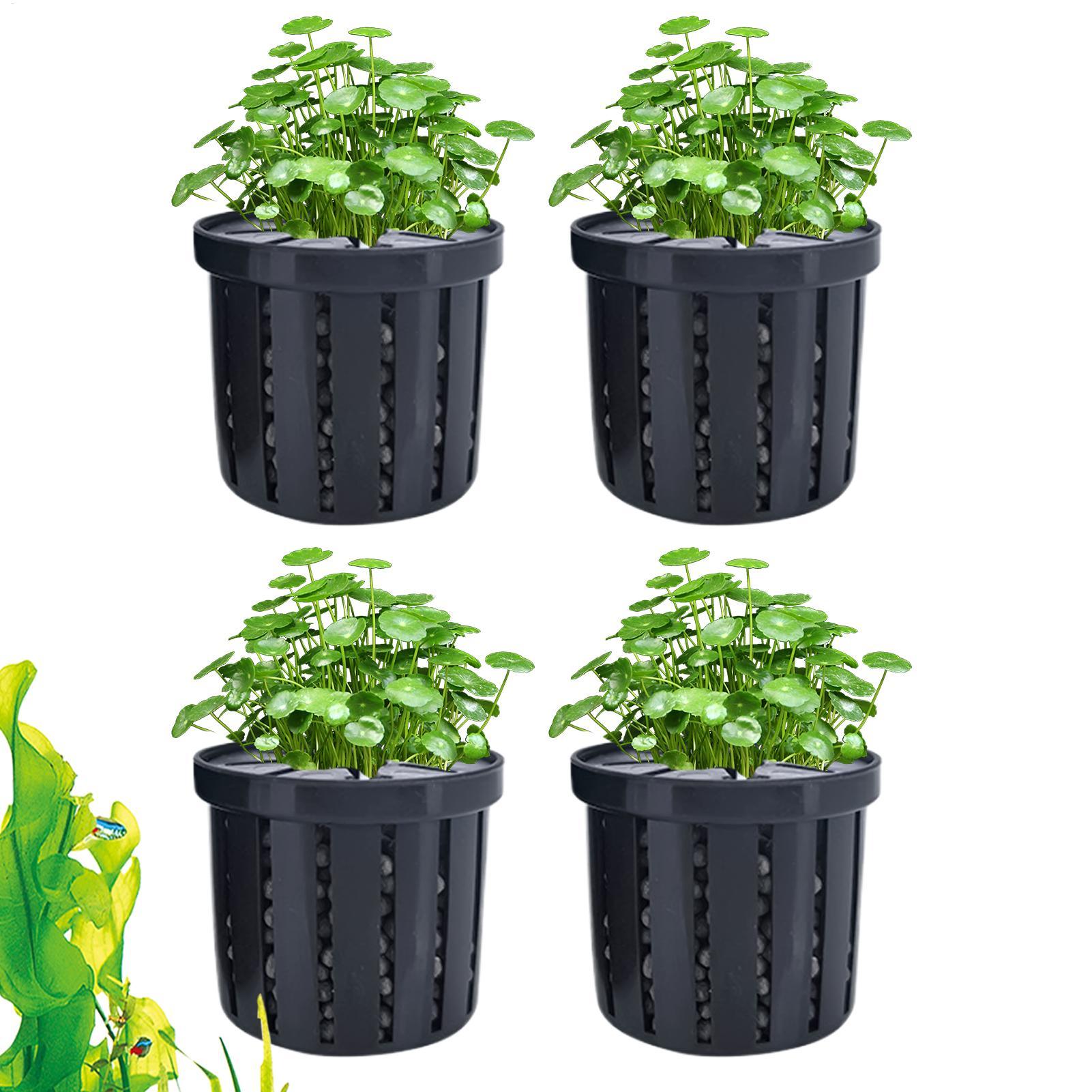 4 Pieces Aquarium Planter Pot  - Aquarium Plant Live ulasan dan harga