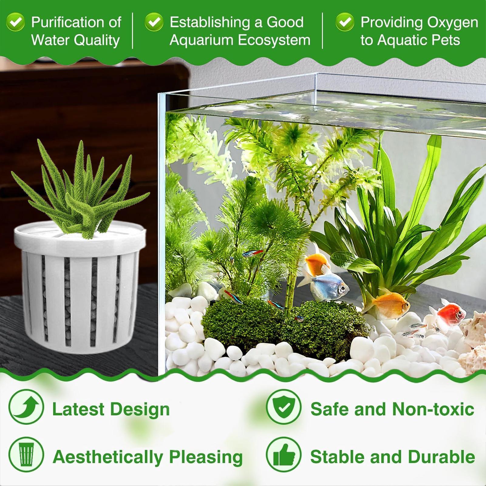 4 Pieces Aquarium Planter Pot  - Aquarium Plant Live ulasan dan harga