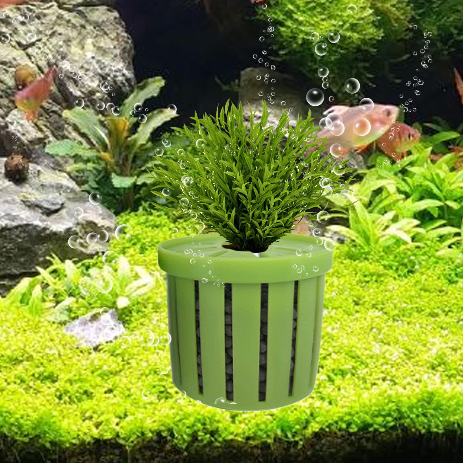 4 Pieces Aquarium Planter Pot  - Aquarium Plant Live ulasan dan harga