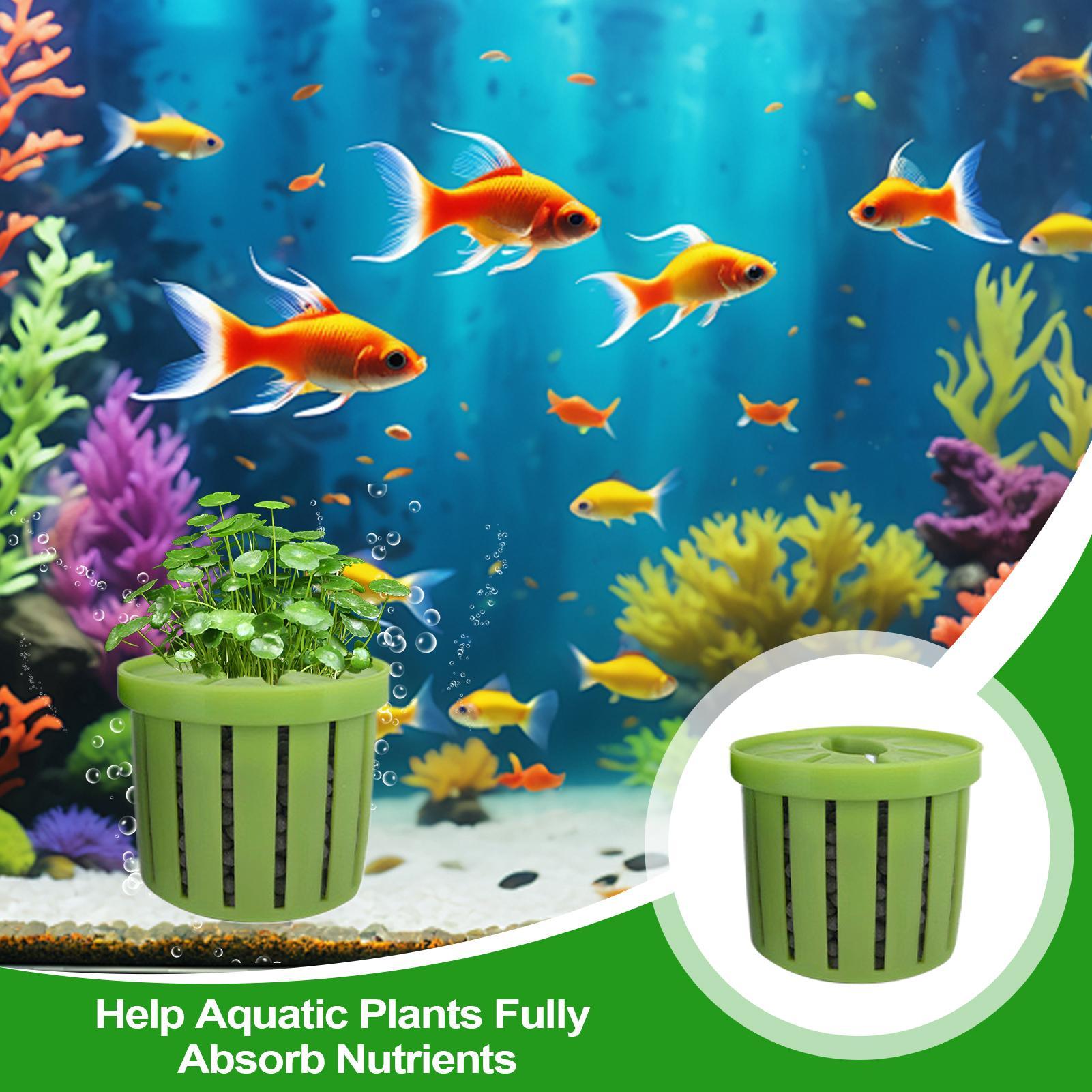 4 Pieces Aquarium Planter Pot  - Aquarium Plant Live ulasan dan harga