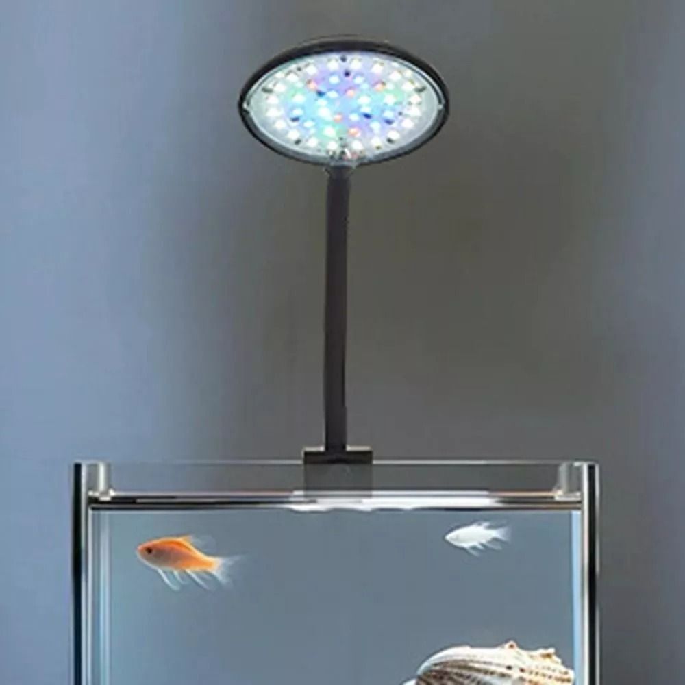 New Mini Fish Tank Clip Lamp 5 - Planted Aquarium Mini ulasan dan harga