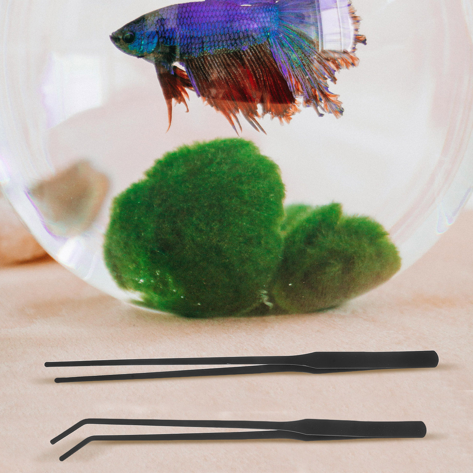 4pcs Aquarium Tweezers Stainle - Planted Aquarium Maintenance Kit ulasan dan harga