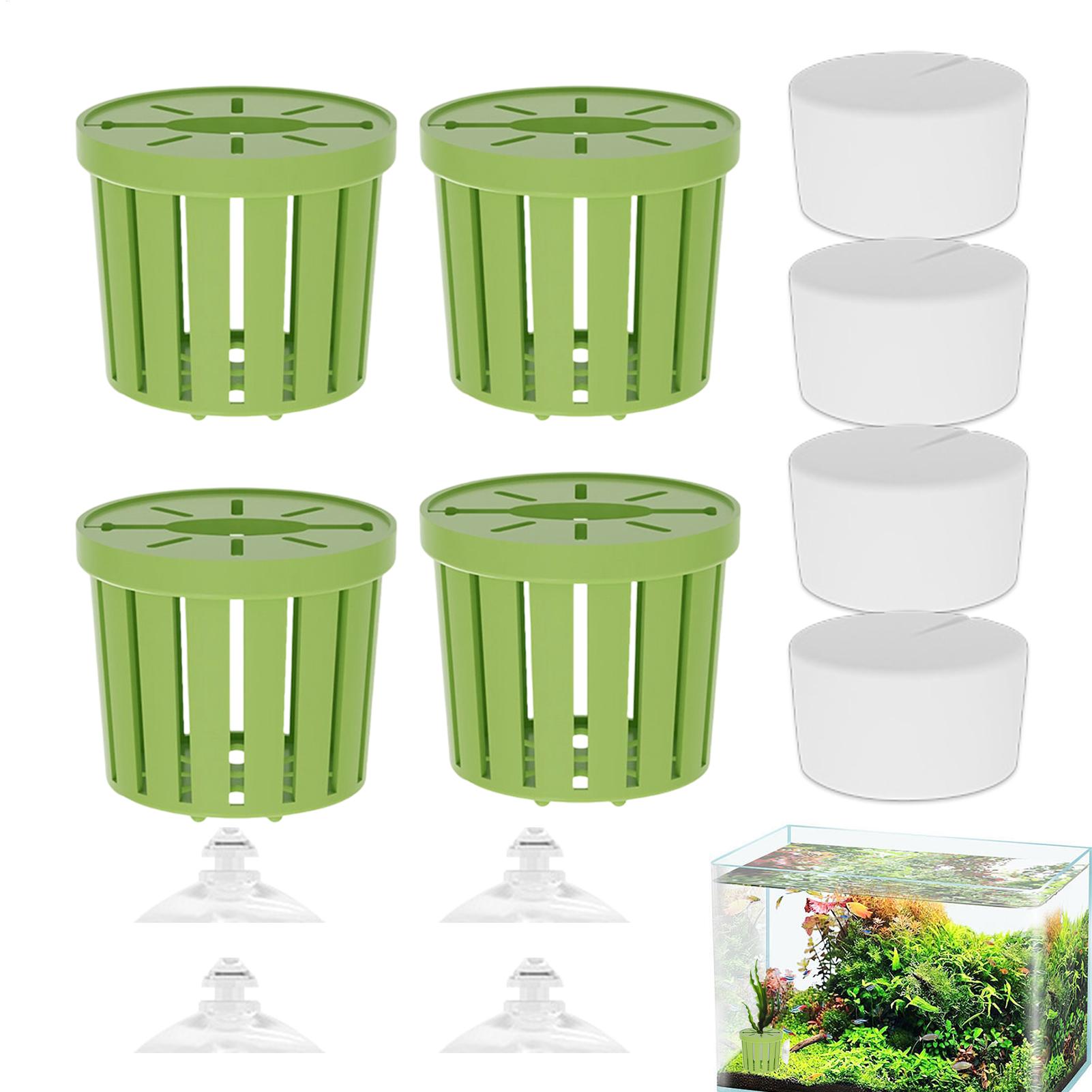 4Pcs Aquatic Plants Fixed Set  - Aquarium Plant Live ulasan dan harga