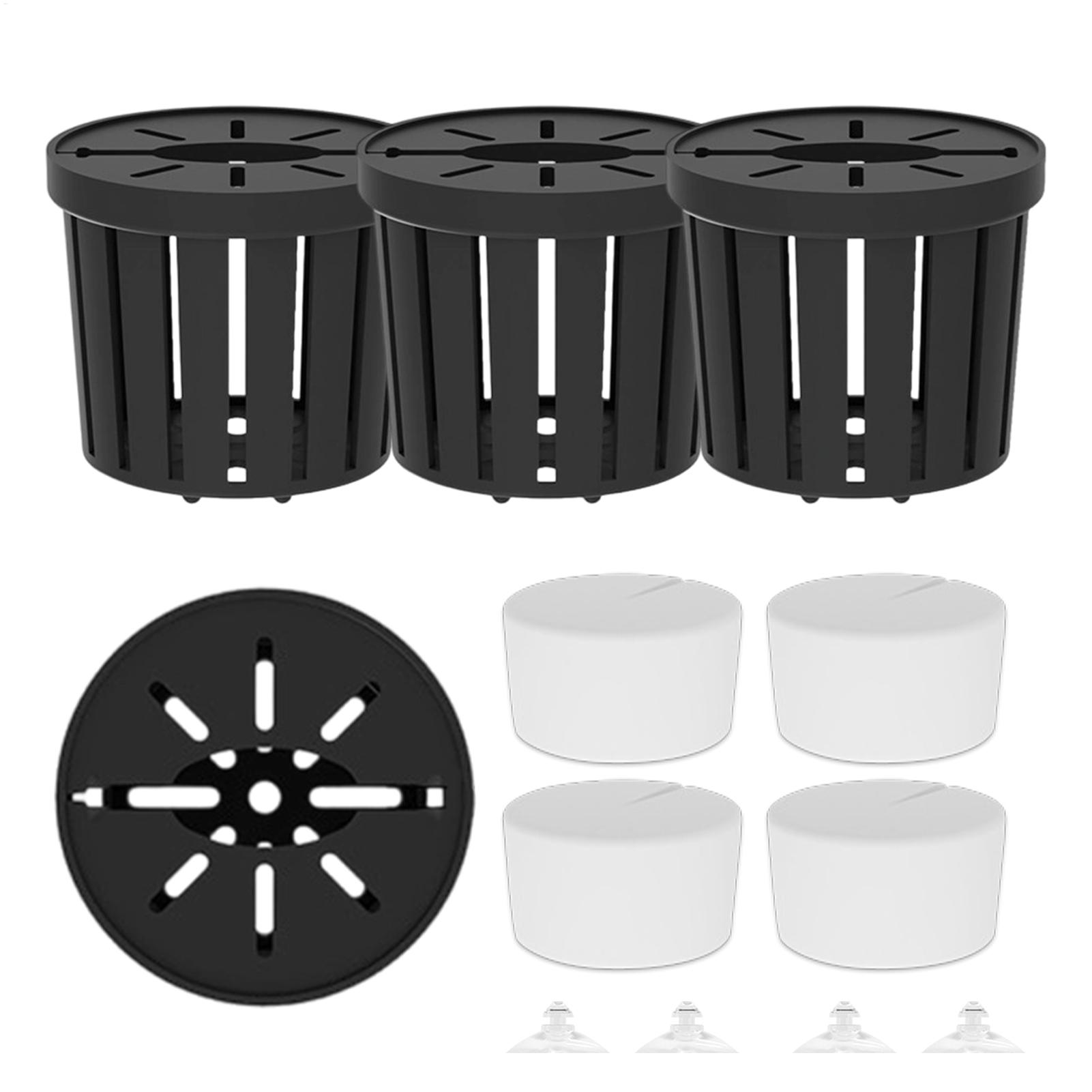 4Pcs Aquatic Plants Fixed Set  - Aquarium Plant Live ulasan dan harga