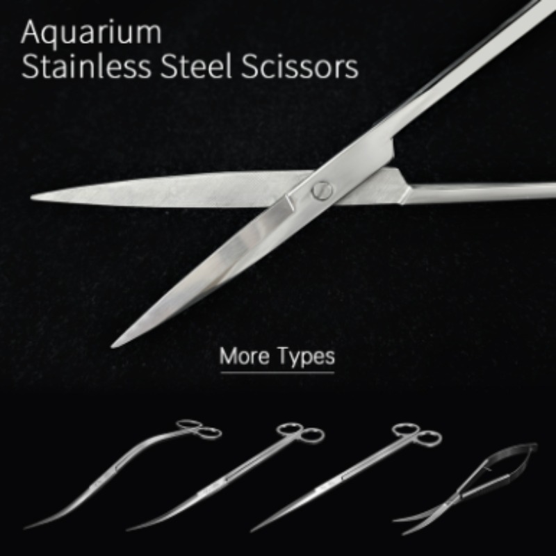 Week Aqua Stainless Steel Aqua - Aquarium Plant Iron ulasan dan harga