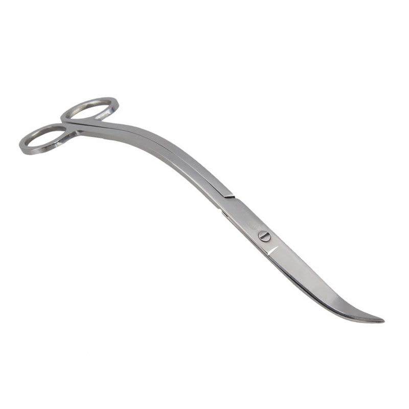 Aquarium Scissor Tools Fish Ta - Aquarium Plant Iron ulasan dan harga