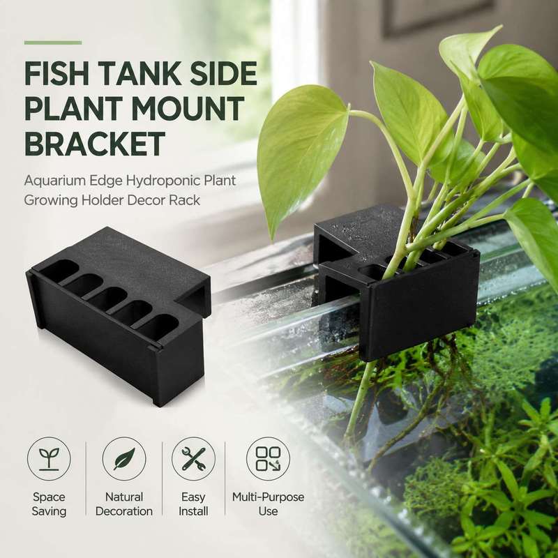 Fish Tank Side Plant Mount Bra - Aquarium Plant Diseases ulasan dan harga