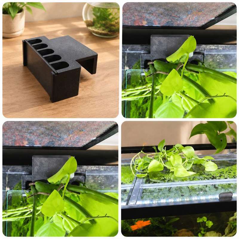 Fish Tank Side Plant Mount Bra - Aquarium Plant Diseases ulasan dan harga