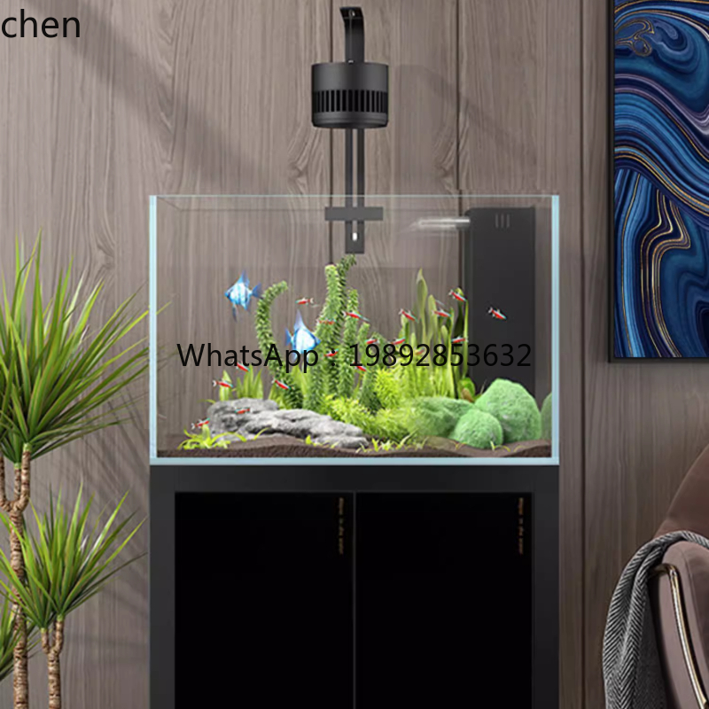YGG  household living room laz - Aquarium Plant Live ulasan dan harga