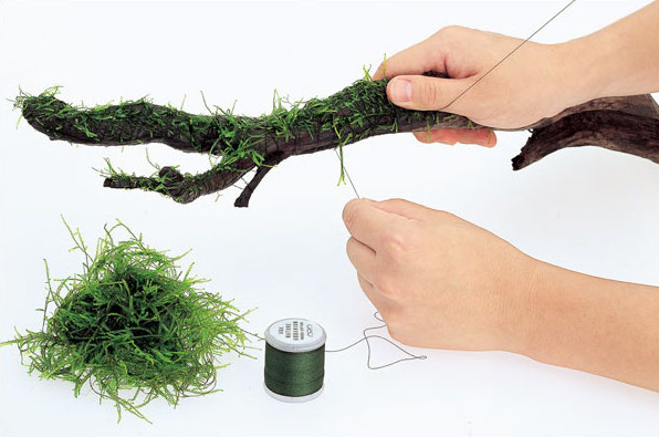 Degradable Aquarium Driftwood  - Aquarium Plant Echinodorus ulasan dan harga