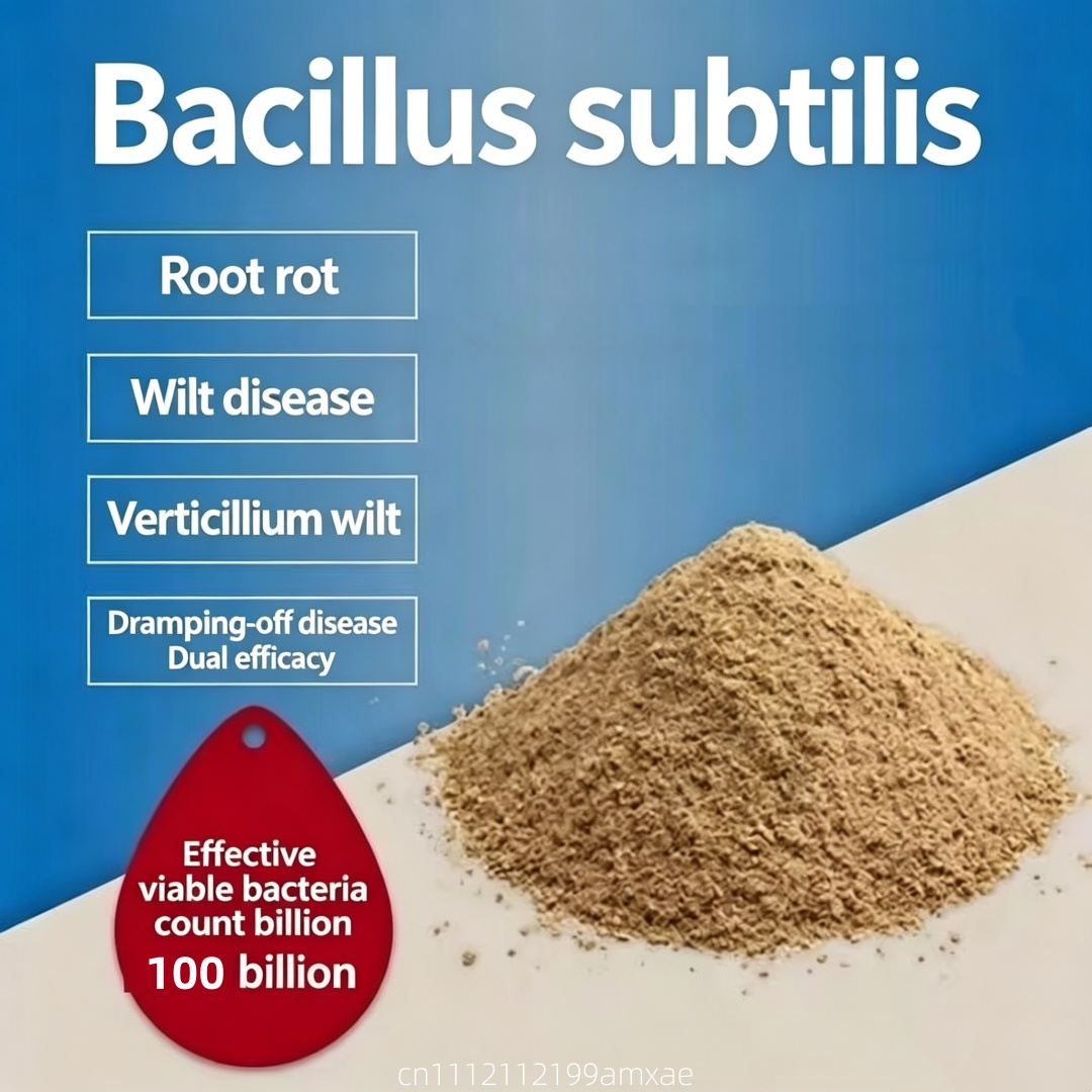 High Activity Bacillus Subtili - Aquarium Plant Diseases ulasan dan harga