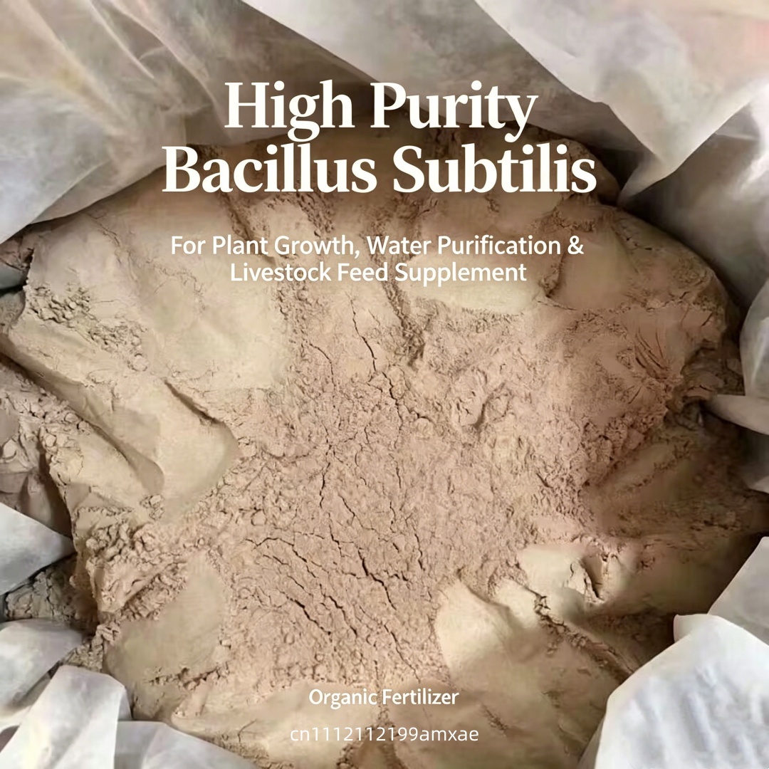 High Activity Bacillus Subtili - Aquarium Plant Diseases ulasan dan harga