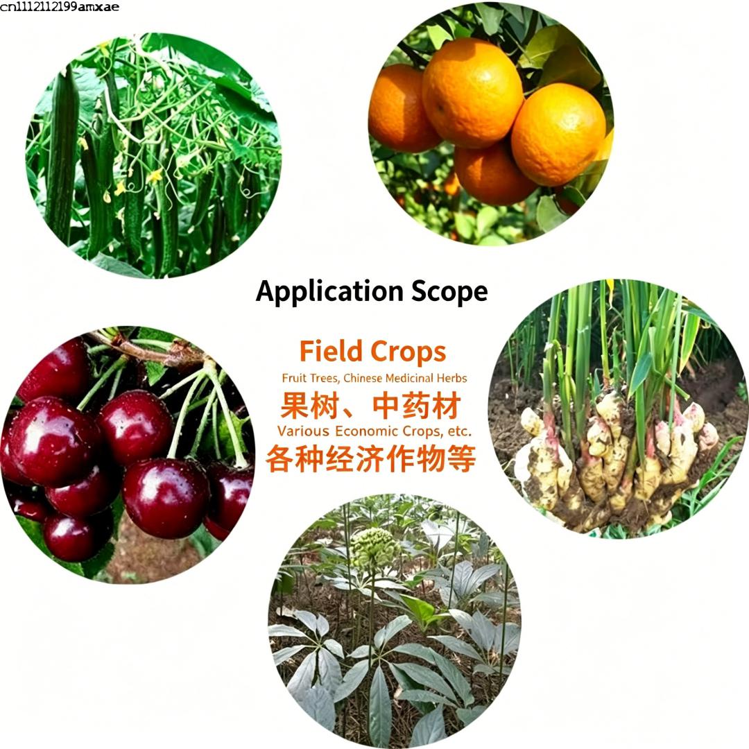 High Activity Bacillus Subtili - Aquarium Plant Diseases ulasan dan harga