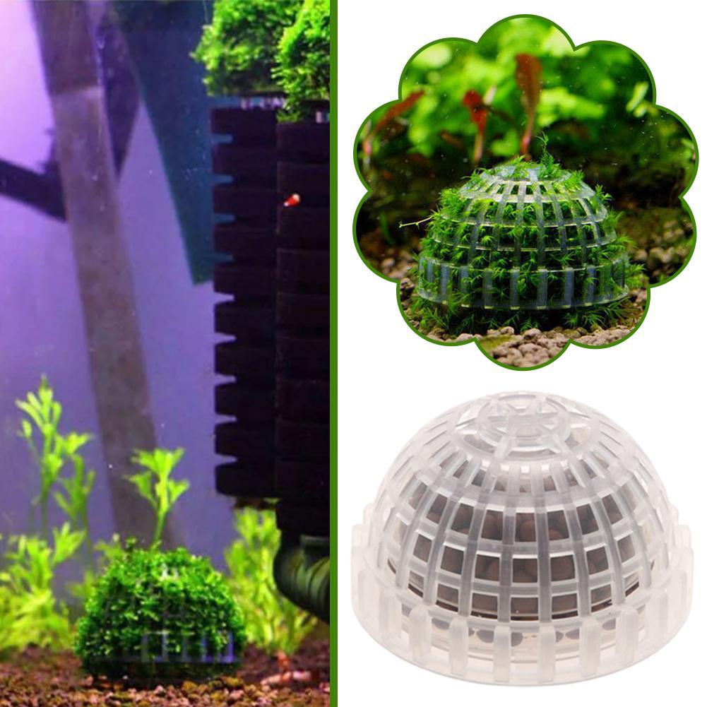 1/2/3/4/5PCS Aquarium Decorati - Aquarium Plant Red ulasan dan harga