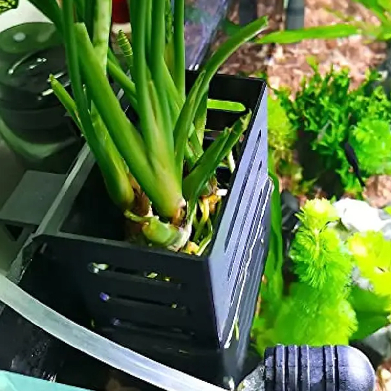 Pet Fish Tank Decorations Aqua - Aquarium Plant Live ulasan dan harga