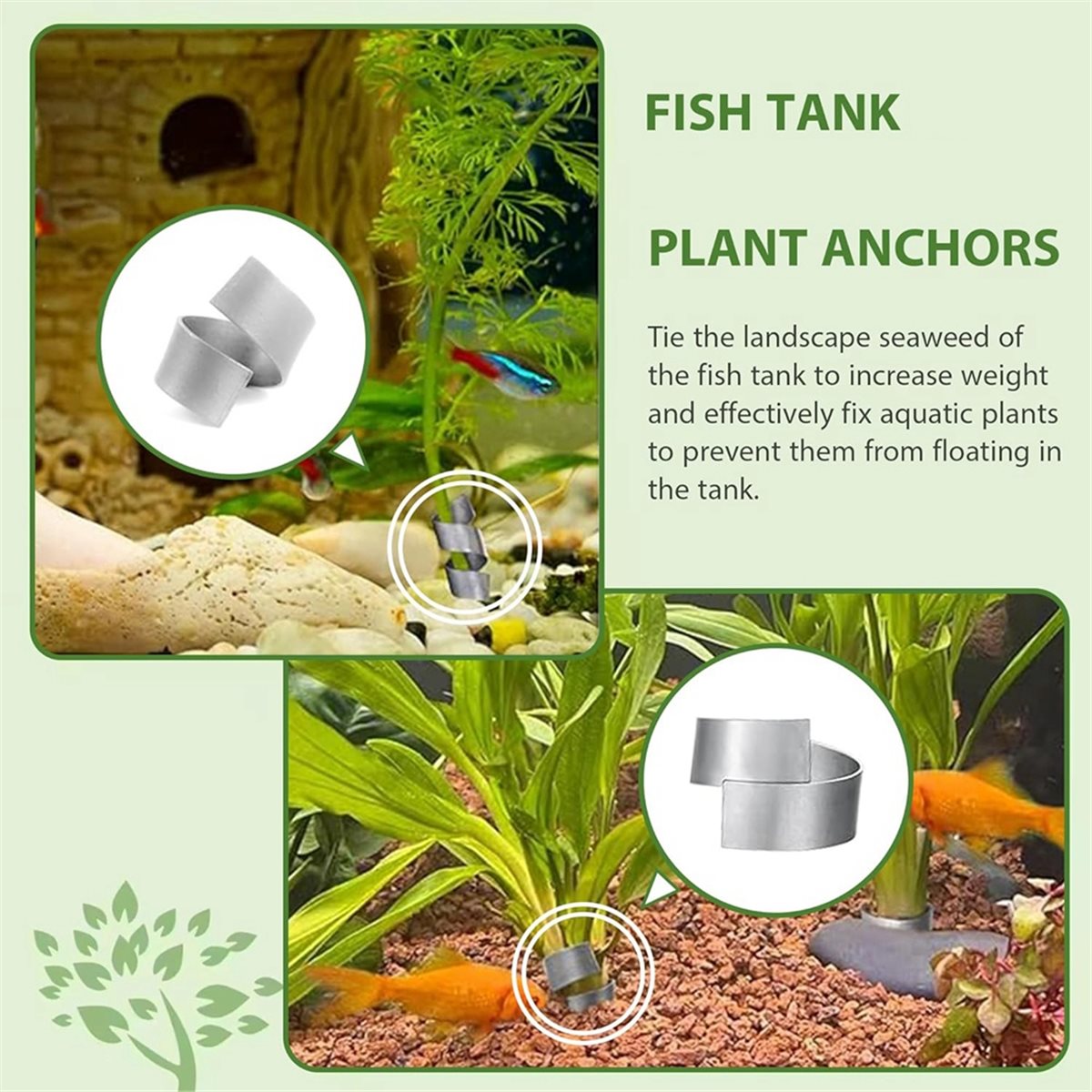 Time Saving Aquarium Plant Wei - Aquarium Plant Live ulasan dan harga