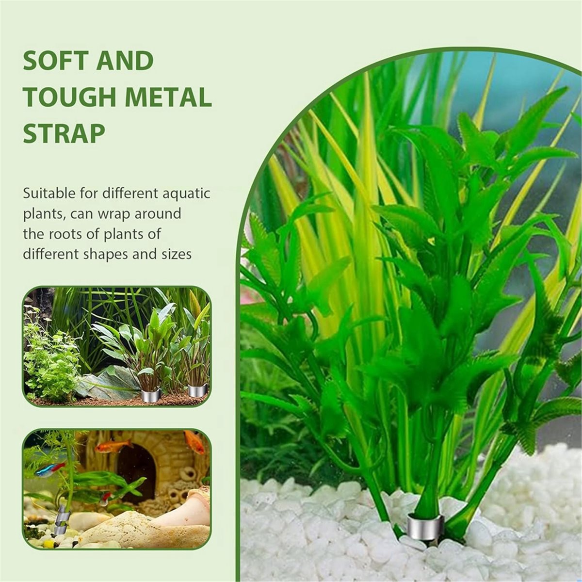 Time Saving Aquarium Plant Wei - Aquarium Plant Live ulasan dan harga