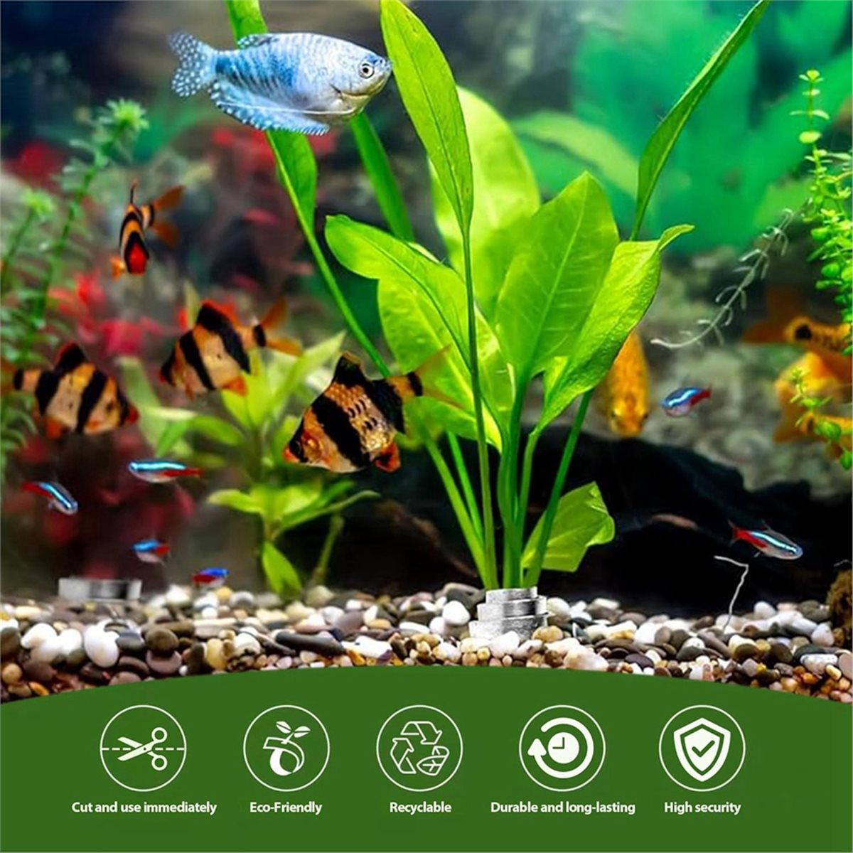 Time Saving Aquarium Plant Wei - Aquarium Plant Live ulasan dan harga