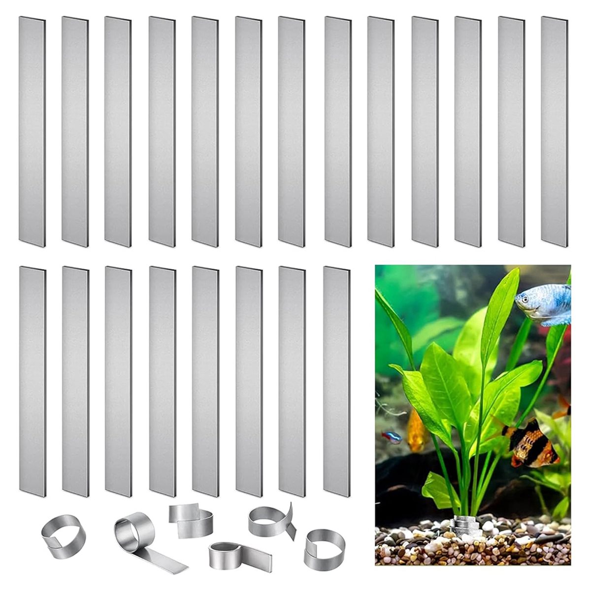 Time Saving Aquarium Plant Wei - Aquarium Plant Live ulasan dan harga