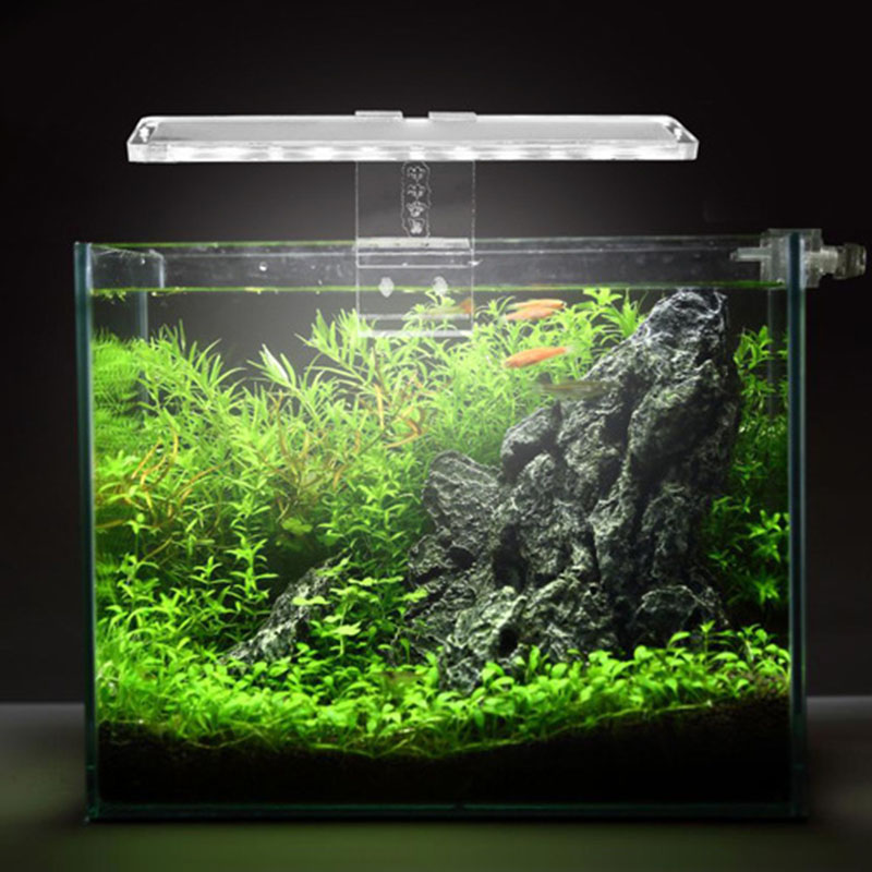 LED Aquarium Lamp Plant Light  - Planted Aquarium Price ulasan dan harga