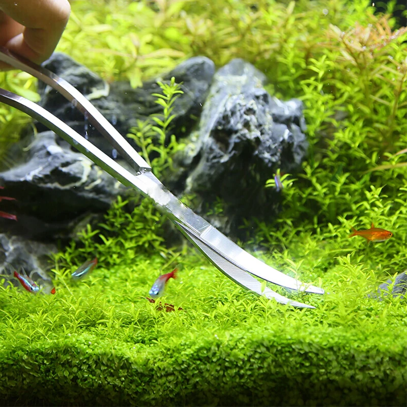 Aquarium Scissor Tools Fish Ta - Planted Aquarium Maintenance Kit ulasan dan harga