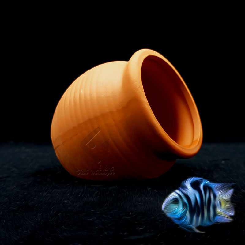 Aquarium Mini Ceramic Tank Fis - Aquarium Plant Live ulasan dan harga