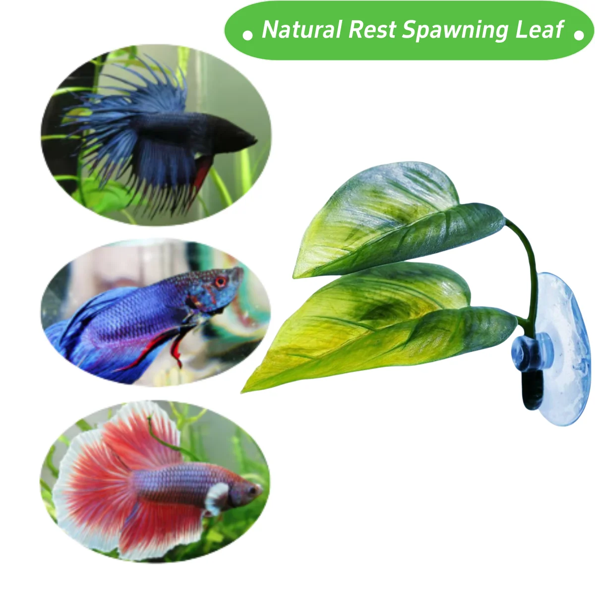 Pets Fish Tank Decor Betta Rel - Aquarium Plant Growing ulasan dan harga