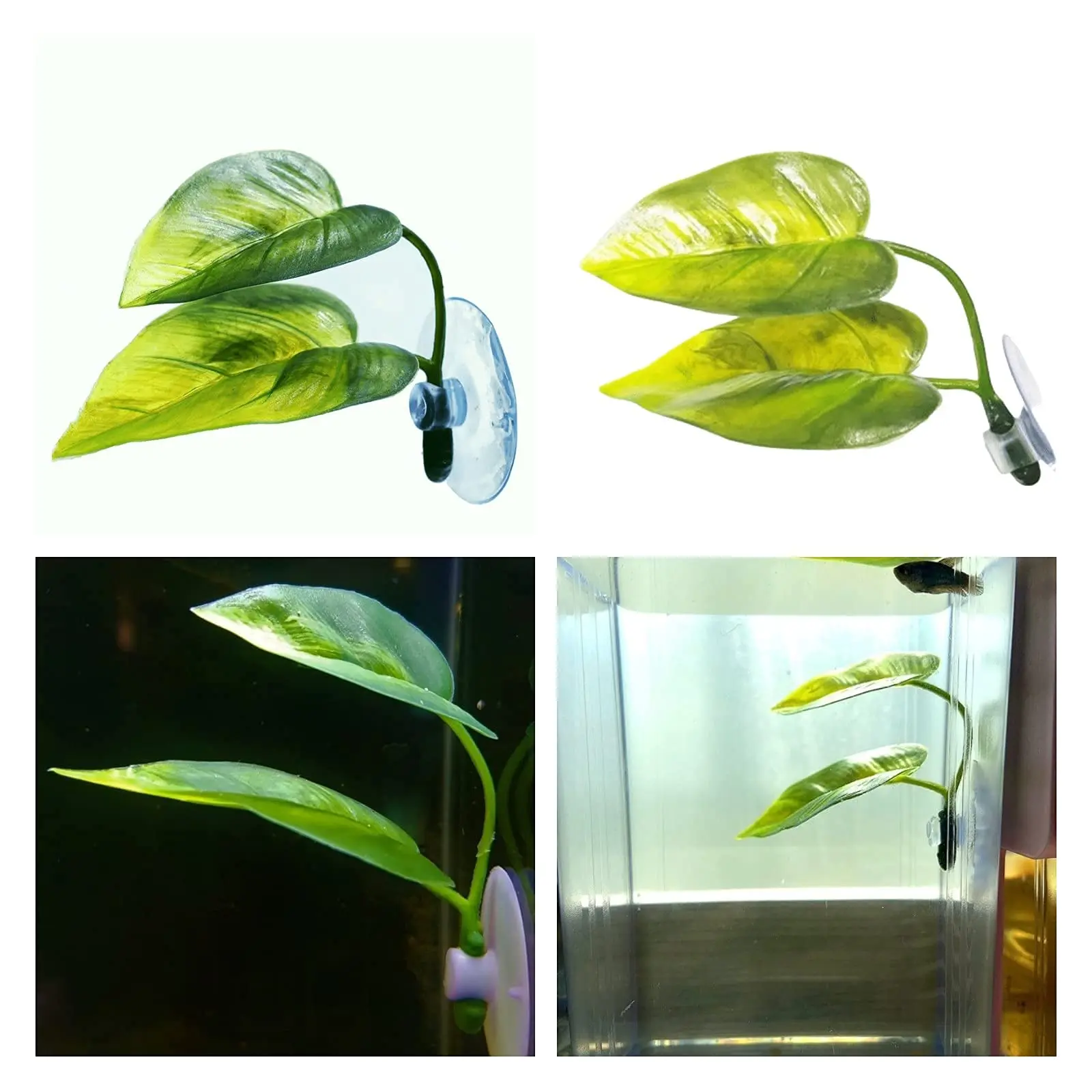 Pets Fish Tank Decor Betta Rel - Aquarium Plant Growing ulasan dan harga