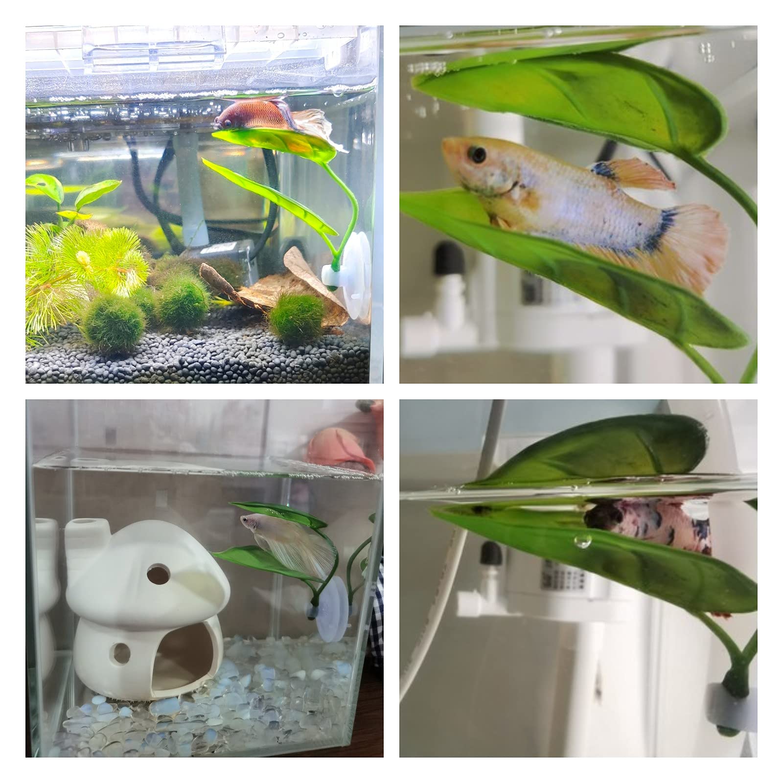 Pets Fish Tank Decor Betta Rel - Aquarium Plant Growing ulasan dan harga