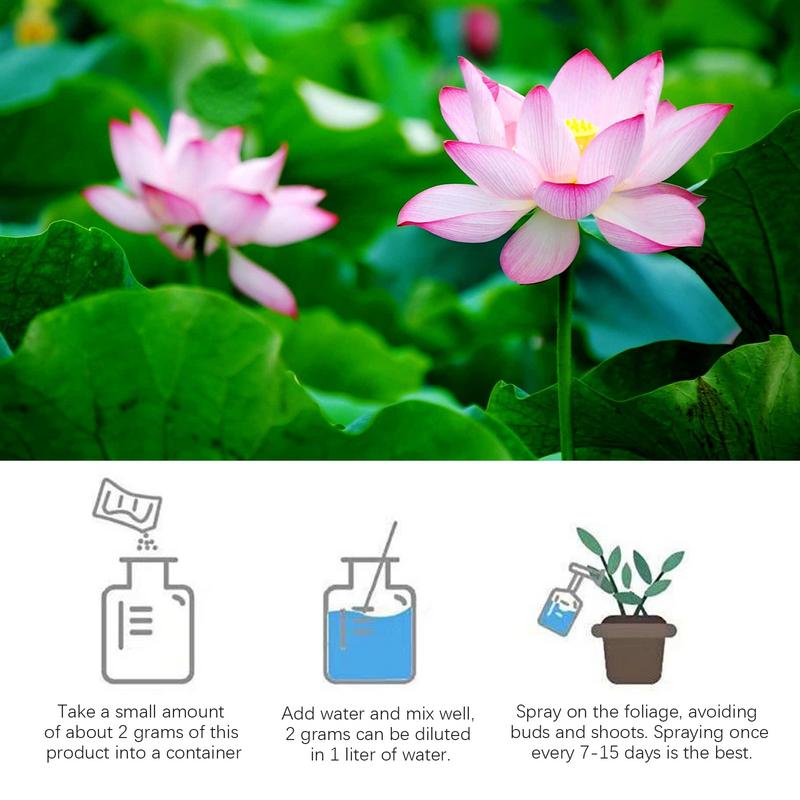 200g Natural Water Lily Flower - Aquarium Plant Vitamins ulasan dan harga