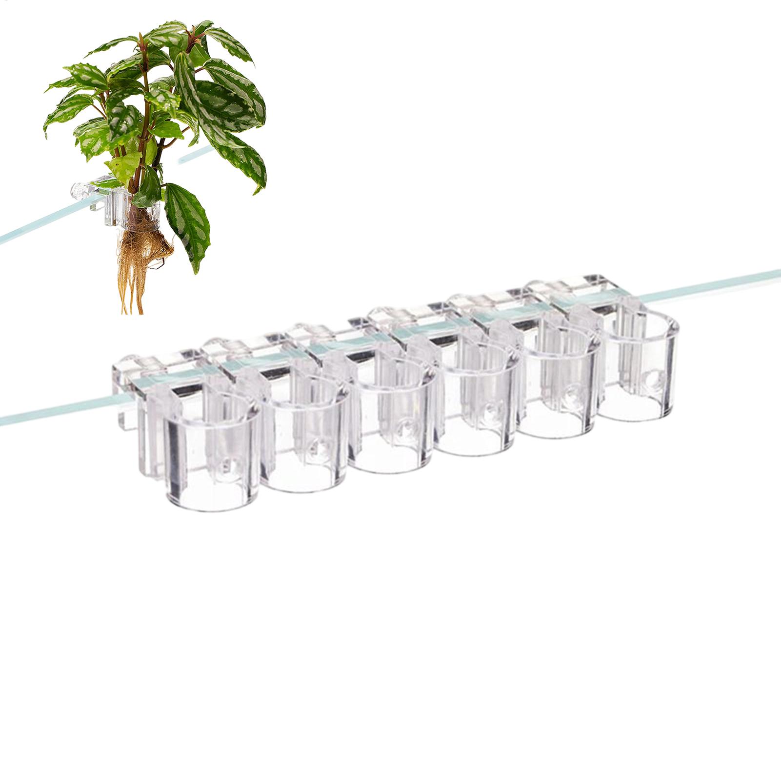 Mini Fish Tank Planter Pot 6Pc - Planted Aquarium Mini ulasan dan harga