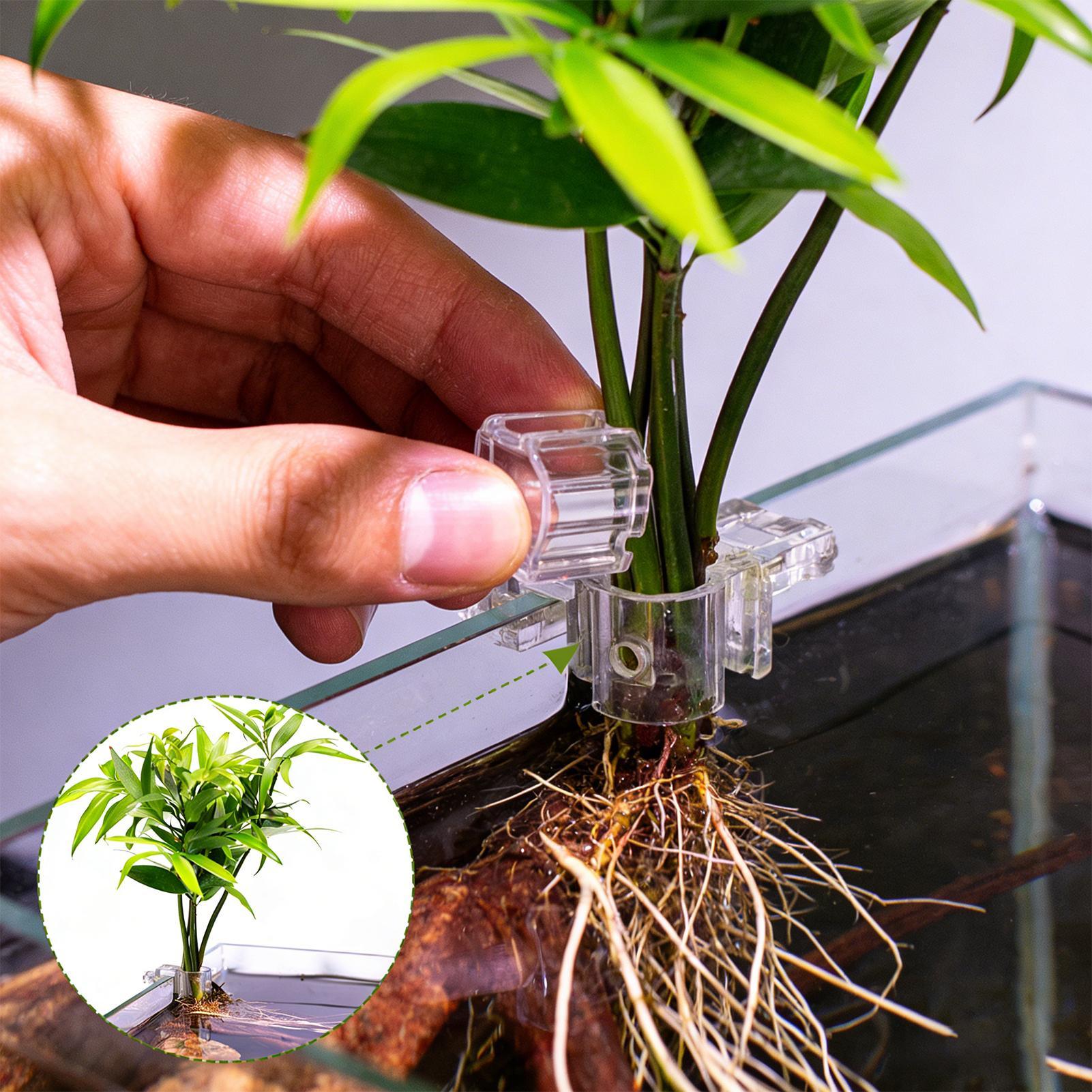 Mini Fish Tank Planter Pot 6Pc - Planted Aquarium Mini ulasan dan harga