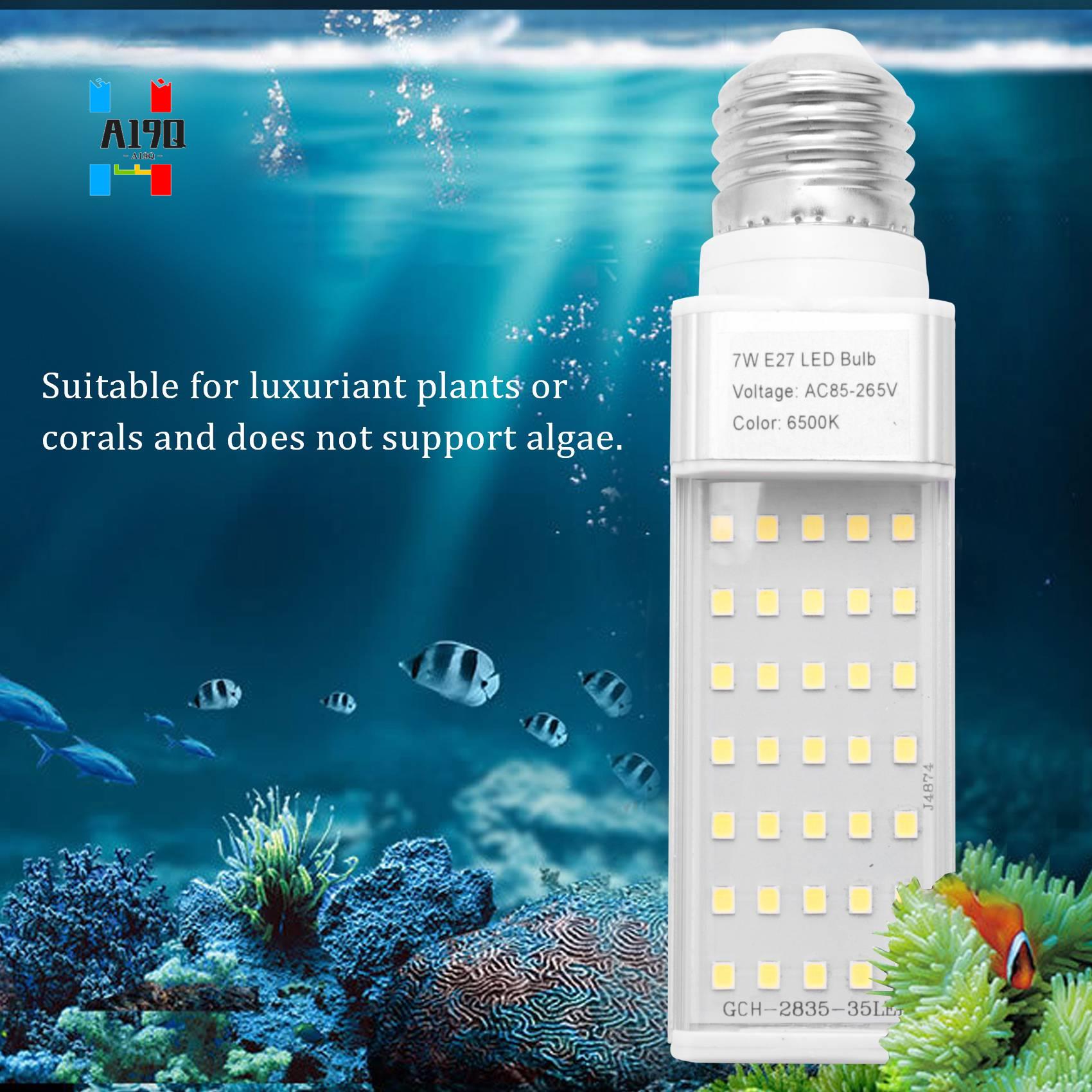 A19Q-Fishpod White Plant Aquar - Planted Aquarium Materials ulasan dan harga