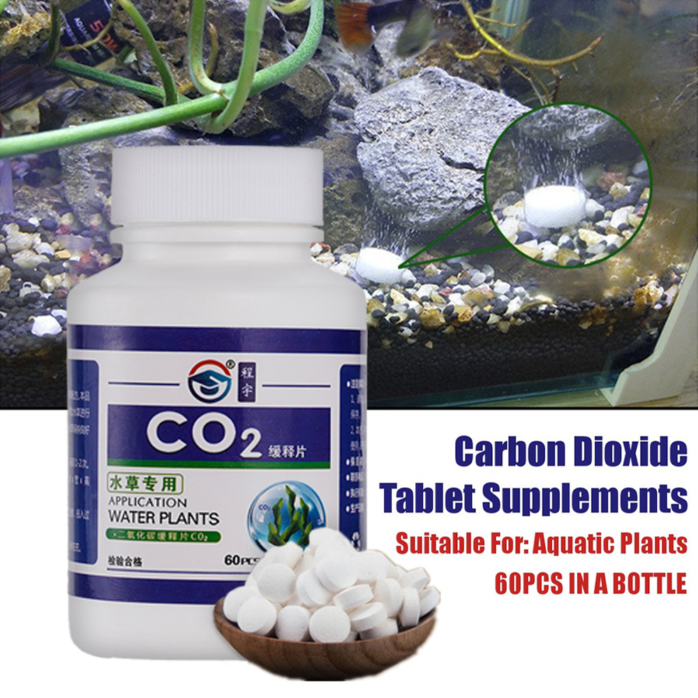 CO2 Tablet Carbon Dioxide Diff - Aquarium Plant Vitamins ulasan dan harga