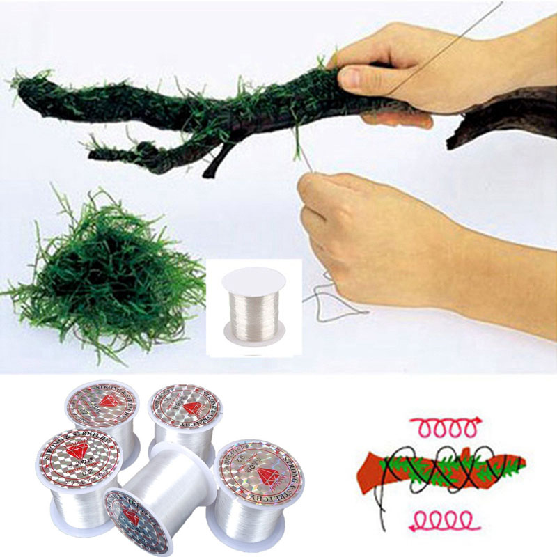 120M DIY Moss Line Binding Lin - Aquarium Plant Echinodorus ulasan dan harga