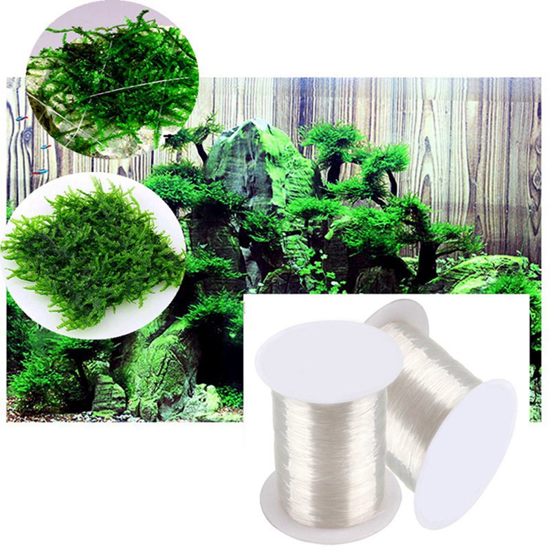 120M DIY Moss Line Binding Lin - Aquarium Plant Echinodorus ulasan dan harga